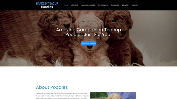 Bradleyteacuppoodles.com - Poodle Puppy Scam Review