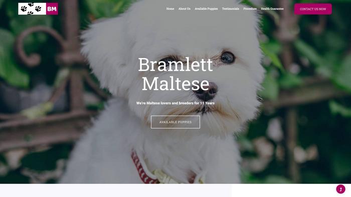 Bramlettmaltese.com - Maltese Puppy Scam Review