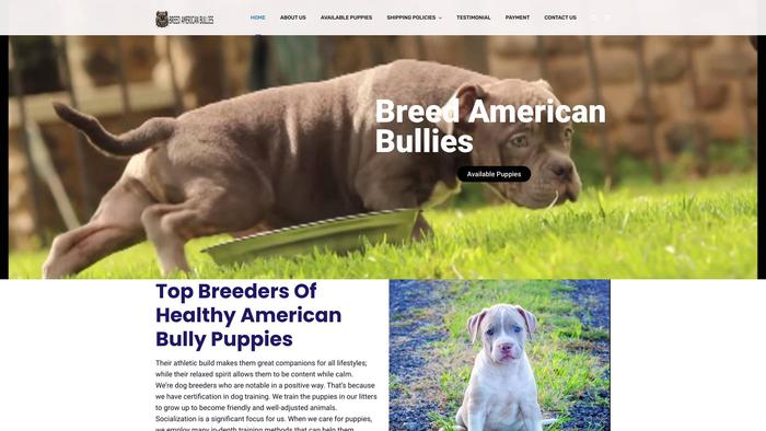 Breedamericanbullies.com - Pit Bull Puppy Scam Review