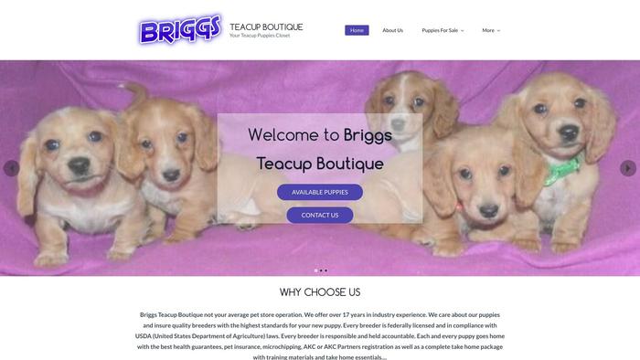 Briggsteacupboutique.net - Yorkshire Terrier Puppy Scam Review