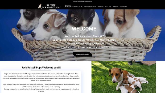 Brightjackrussellpups.com - Jack Russell Terrier Puppy Scam Review