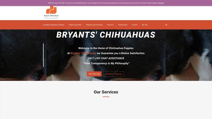 Bryantschihuahuas.com - Chihuahua Puppy Scam Review