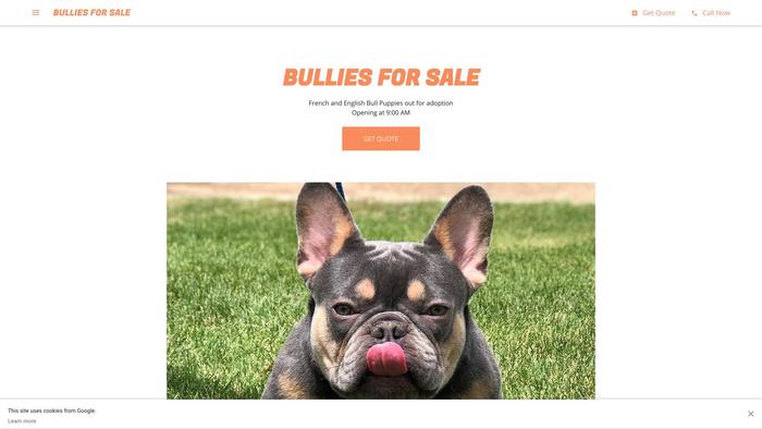 Bulliesforsales.com - French Bulldog Puppy Scam Review