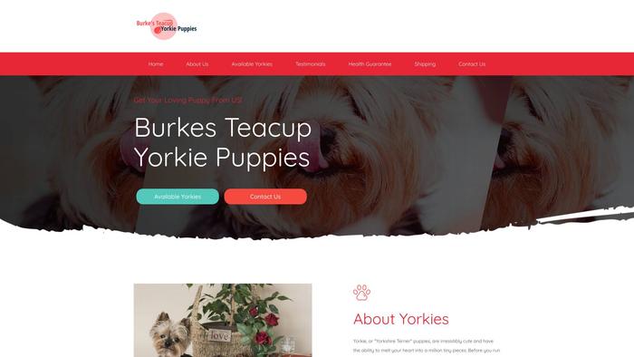 Burkesteacupyorkiepuppies.com - Yorkshire Terrier Puppy Scam Review