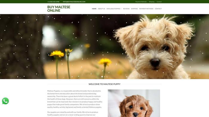 Buymalteseonline.com - Maltese Puppy Scam Review