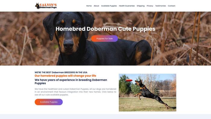 Calvinsdobermanpups.com - Doberman Pinscher Puppy Scam Review