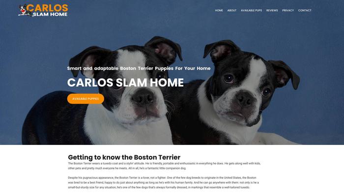 Carlosslamhome.com - Boston Terrier Puppy Scam Review