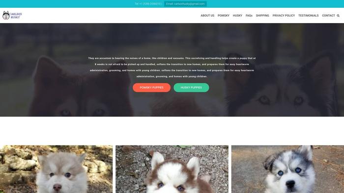 Carlsonhusky.com - Husky Puppy Scam Review