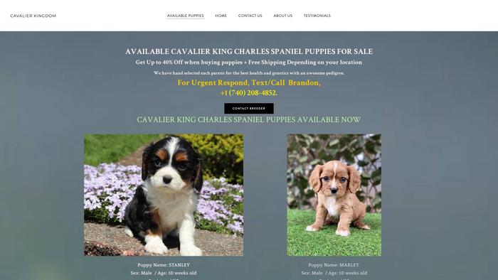 Cavalierskings.com - Cavalier King Charles Spaniel Puppy Scam Review