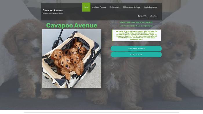 Cavapooavenue.com - Cavapoo Puppy Scam Review