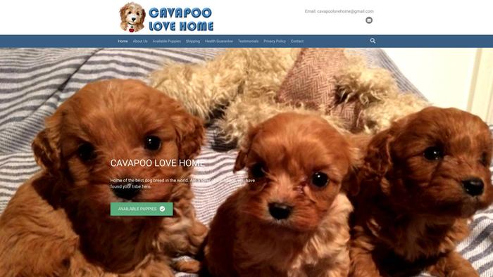 Cavapoolovehome.com - Cavapoo Puppy Scam Review