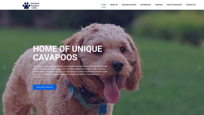 Cavapoopuppiestoday.com - Cavapoo Puppy Scam Review