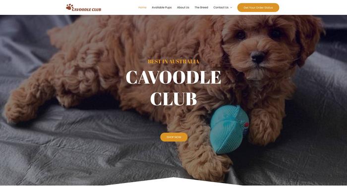 Cavoodleclub.com - Cavapoo Puppy Scam Review