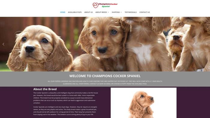 Championscockerspaniel.com - Cockerspaniel Puppy Scam Review