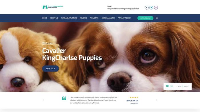 Charitycavalierkingcharlsepuppies.com - Cavalier King Charles Spaniel Puppy Scam Review