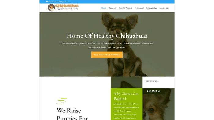 Chihuahuapuppiecomhome.com - Chihuahua Puppy Scam Review