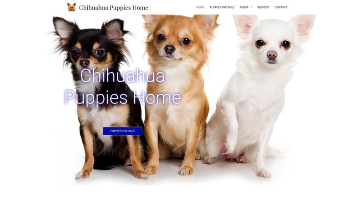 Chihuahuapuppieshome.xyz - Chihuahua Puppy Scam Review