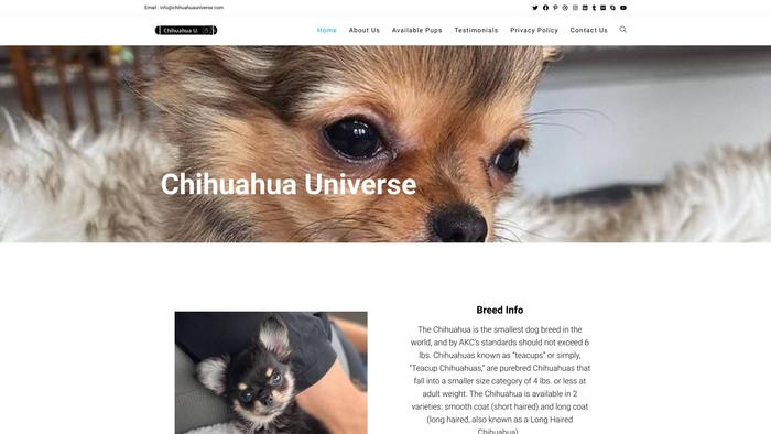 Chihuahuauniverse.com - Chihuahua Puppy Scam Review