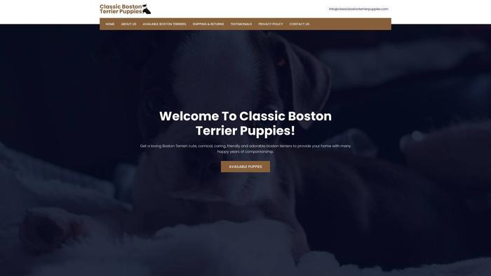 Classicbostonterrierpuppies.com - Boston Terrier Puppy Scam Review