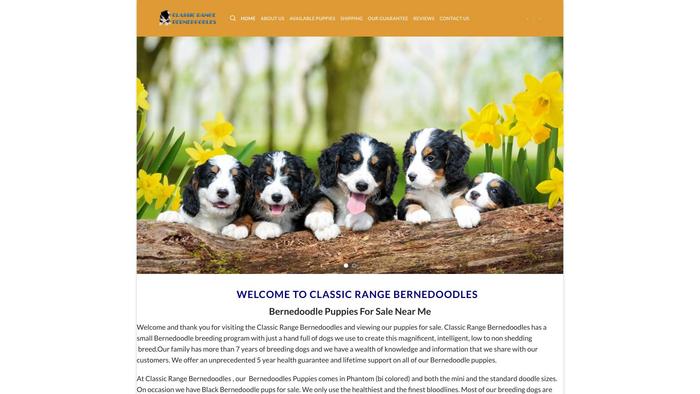 Classicrangebernedoodles.com - Bernedoodle Puppy Scam Review