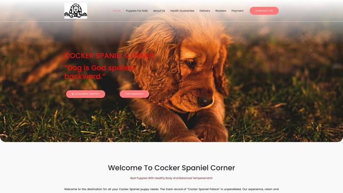 Cockerspanielcorner.com - Cockerspaniel Puppy Scam Review