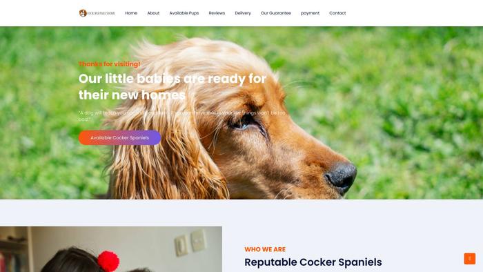 Cockerspanielshome.com - Cockerspaniel Puppy Scam Review