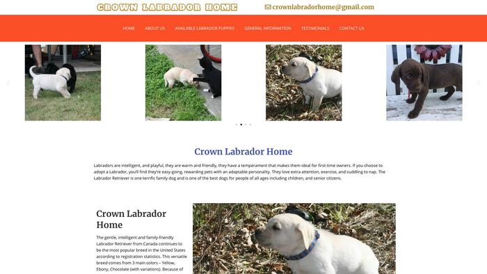 Crownlabradorhome.com - Labrador Puppy Scam Review