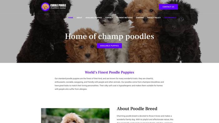 Cuddlepoodlepuppiesfarm.com - Poodle Puppy Scam Review