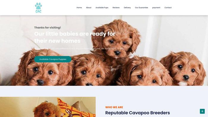 Cuteadorablecavapoo.com - Cavapoo Puppy Scam Review