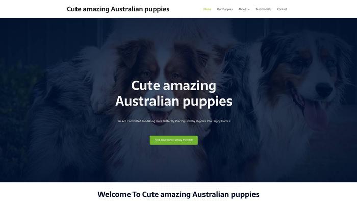 Cuteamazingaustralianpuppies.com - Australian Shepherd Puppy Scam Review