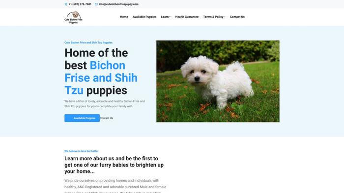 Cutebichonfrisepuppy.com - Bichon Frise Puppy Scam Review