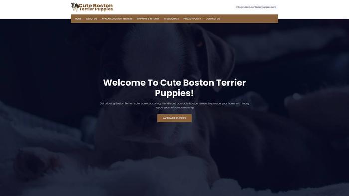 Cutebostonterrierpuppies.com - Boston Terrier Puppy Scam Review