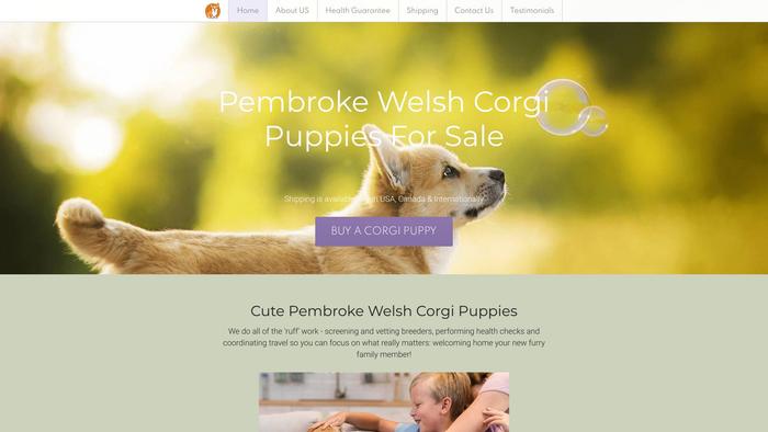 Cutecorgipembrokepuppies.com - Corgi Puppy Scam Review