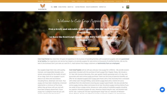 Cutecorgipuppies.com - Corgi Puppy Scam Review