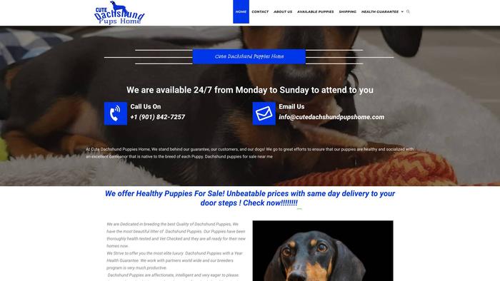 Cutedachshundpupshome.com - Dachshund Puppy Scam Review