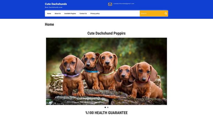 Cutedachshunds.com - Dachshund Puppy Scam Review