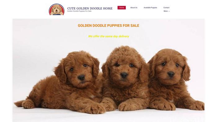 Cutegoldendoodlehome.com - Golden Doodle Puppy Scam Review