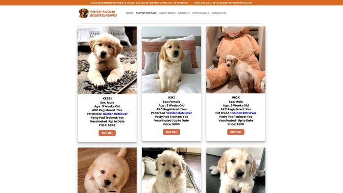 Cutestgoldenretriverpuppies.com - Golden Retriever Puppy Scam Review