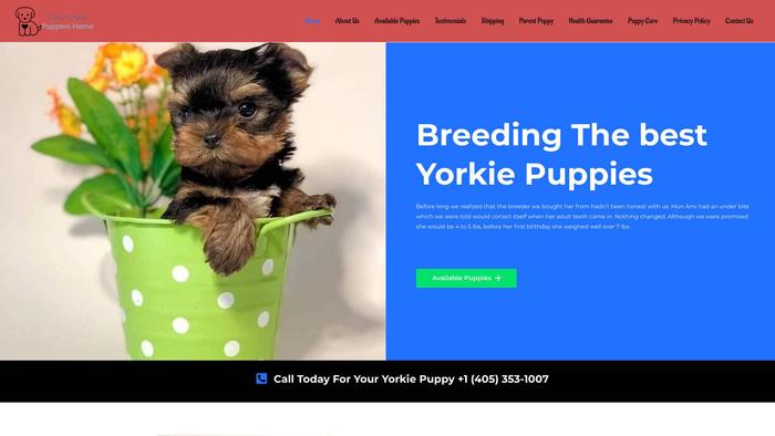 Cuteyorkiepuppieshome.com - Yorkshire Terrier Puppy Scam Review