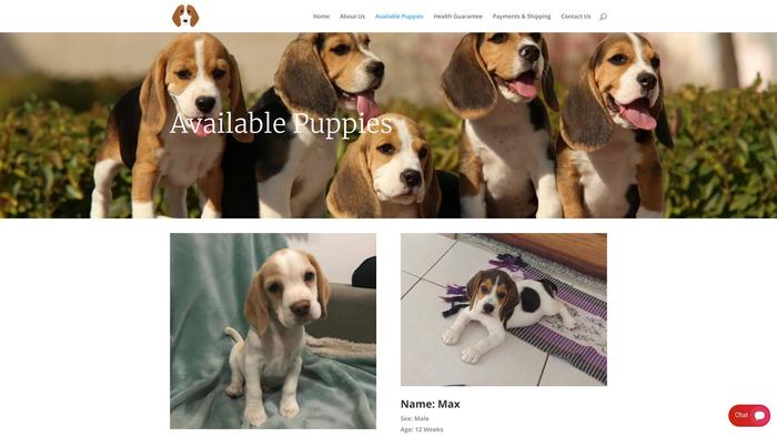 Cutiebeagleshome.com - Beagle Puppy Scam Review