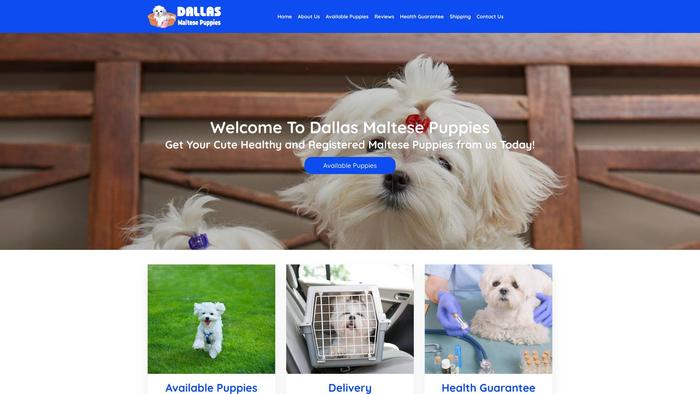 Dallasmaltesepuppies.com - Maltese Puppy Scam Review