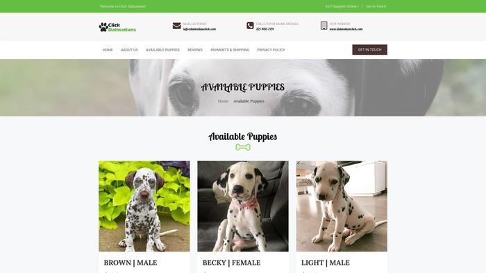 Dalmatianclick.com - Labrador Puppy Scam Review