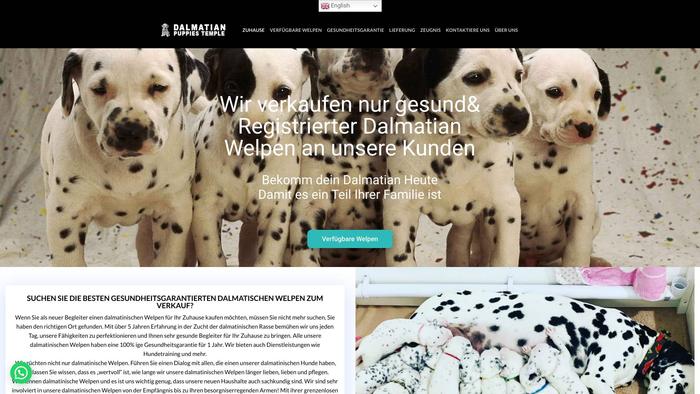 Dalmatianpuppiestemple.com - Labrador Puppy Scam Review