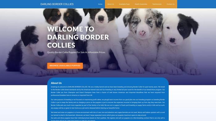 Darlingbordercollies.com - Bordercollie Puppy Scam Review