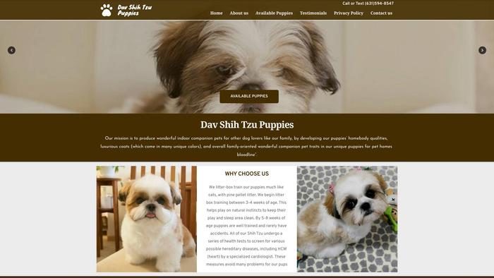 Davshihtzupuppies.com - Shihtzu Puppy Scam Review