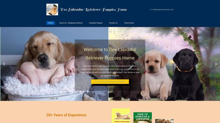 Deelabradorretrievers.com - Golden Retriever Puppy Scam Review