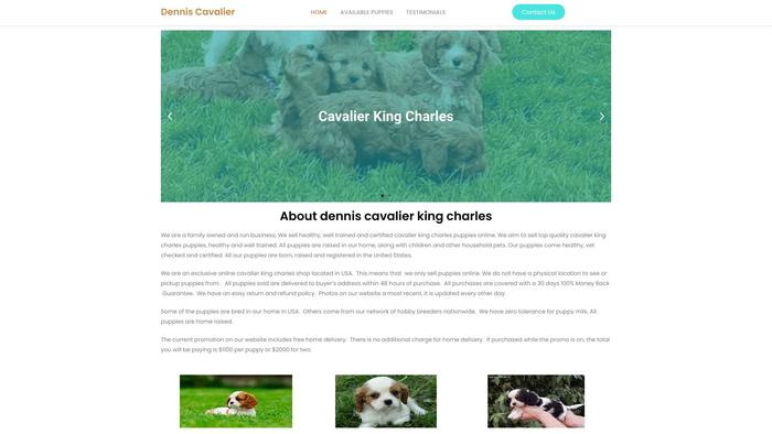 Denniscavalierkingcharles.store - Cavalier King Charles Spaniel Puppy Scam Review