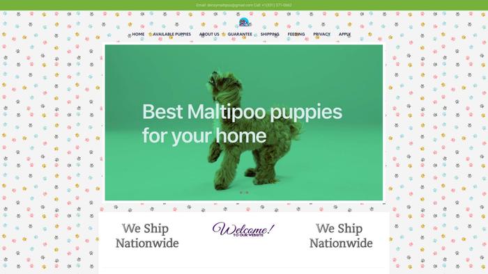 Denzymaltipoo.com - Maltipoo Puppy Scam Review