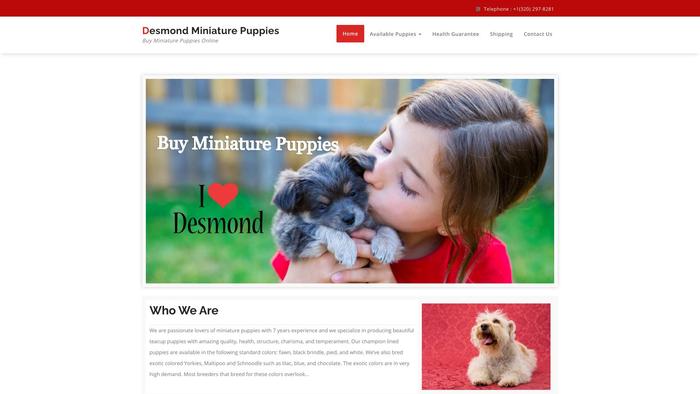 Desmondminiaturepuppies.com - Maltipoo Puppy Scam Review