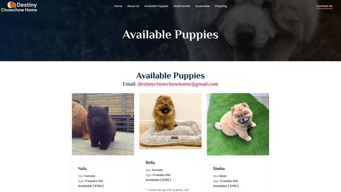 Destinychowchowhome.com - Chowchow Puppy Scam Review